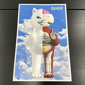 Rip N Dip Anatomy Poster